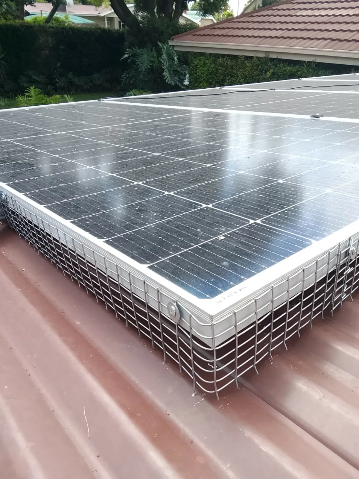 Bird mesh around solar panels